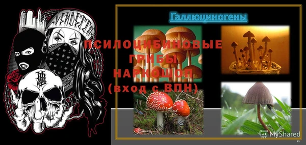 стаф Медвежьегорск