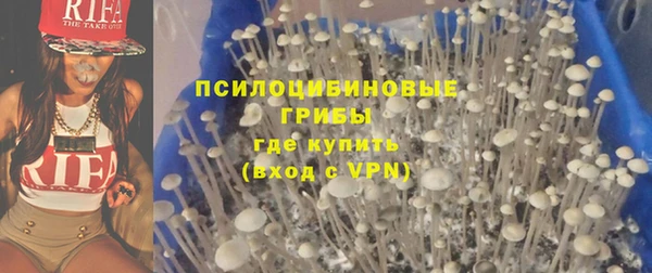 стаф Медвежьегорск