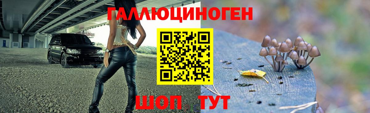 Галлюциногенные грибы GOLDEN TEACHER  Псилоцибиновые грибы Psilocybe  Вход с VPN  Каменск-Уральский 